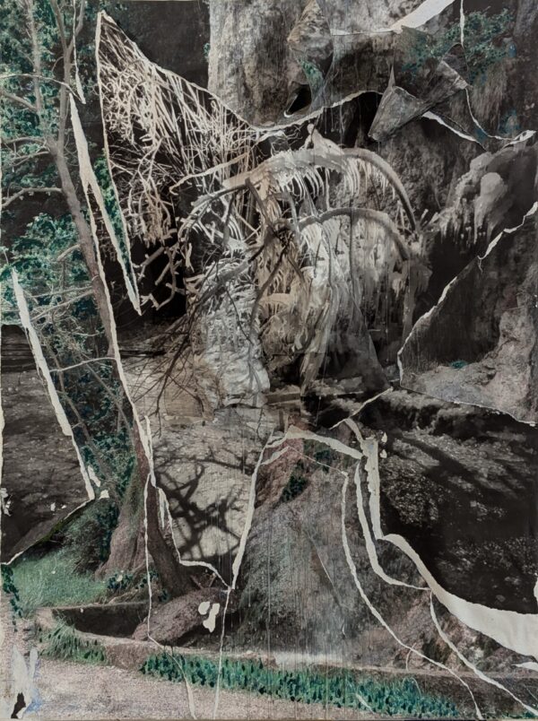 Cascata di Ganna – Limpida che guizzando scendi, ti poni dinnanzi a me tra Primavera ed Estate, Autunno e Inverno. Strutturata in Scultura quando ghiacciata stai fermando l’inverno eh . . il tempo preso a guardarti si perde, eh . . .quell’Albero sistemato accanto a te, gelando è pura bellezza articolata nella tua fantastica visione . . Realizzi la Fantasia ! Irrompi la Memoria ! . . dei miei anni passati a gustarti .